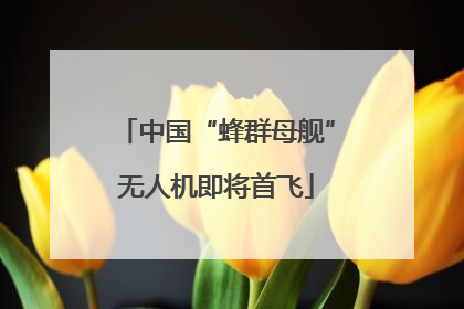 中国“蜂群母舰”无人机即将首飞
