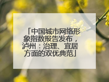 中国城市网络形象指数报告发布，泸州：治理、宜居方面的双优典范