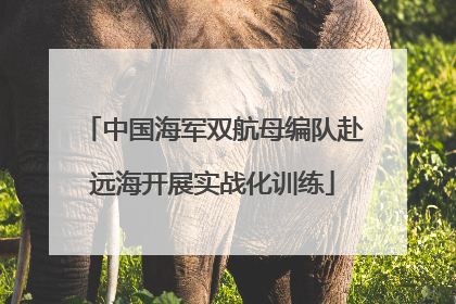 中国海军双航母编队赴远海开展实战化训练