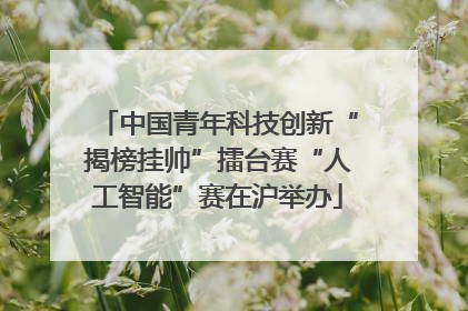 中国青年科技创新“揭榜挂帅”擂台赛“人工智能”赛在沪举办