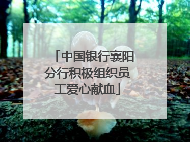 中国银行襄阳分行积极组织员工爱心献血