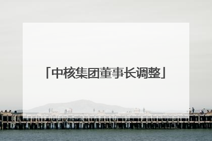 中核集团董事长调整