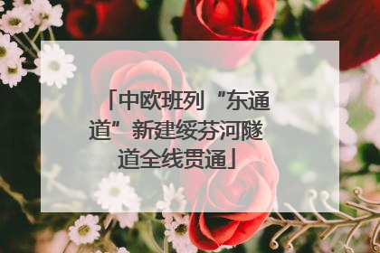 中欧班列“东通道”新建绥芬河隧道全线贯通