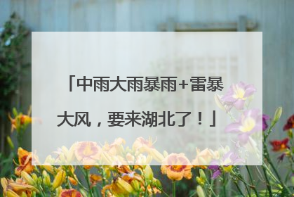 中雨大雨暴雨+雷暴大风，要来湖北了！