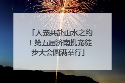 人宠共赴山水之约！第五届济南携宠徒步大会圆满举行