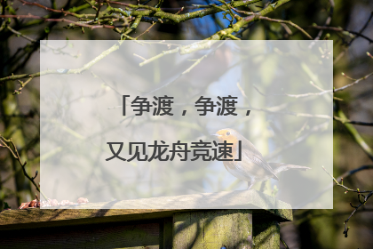 争渡，争渡，又见龙舟竞速