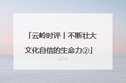 云岭时评丨不断壮大文化自信的生命力②