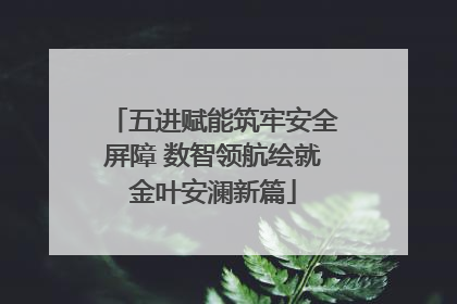 五进赋能筑牢安全屏障 数智领航绘就金叶安澜新篇