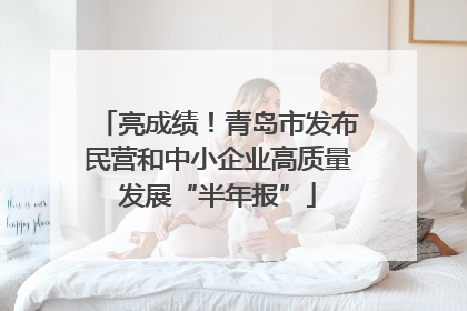 亮成绩！青岛市发布民营和中小企业高质量发展“半年报”