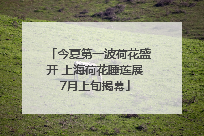 今夏第一波荷花盛开 上海荷花睡莲展7月上旬揭幕