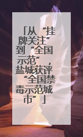从“挂牌关注”到“全国示范”，盐城获评“全国禁毒示范城市”