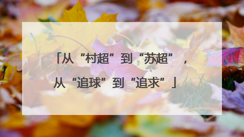 从“村超”到“苏超”，从“追球”到“追求”