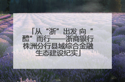 从“浙”出发 向“醴”而行——浙商银行株洲分行县域综合金融生态建设纪实