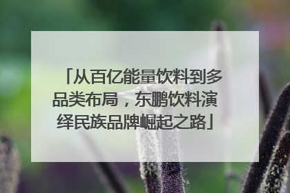 从百亿能量饮料到多品类布局，东鹏饮料演绎民族品牌崛起之路