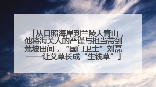 从日照海岸到兰陵大青山，他将海关人的严谨与担当带到荒坡田间，“国门卫士”刘磊——让艾草长成“生钱草”