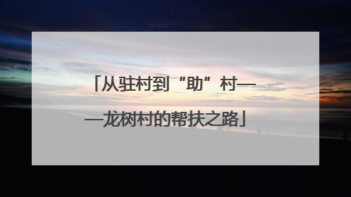 从驻村到“助”村——龙树村的帮扶之路