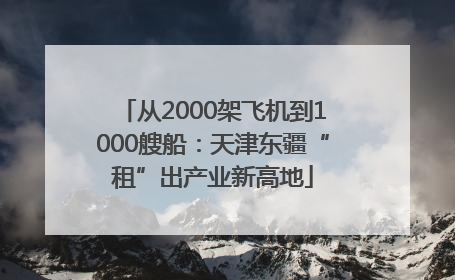 从2000架飞机到1000艘船：天津东疆“租”出产业新高地