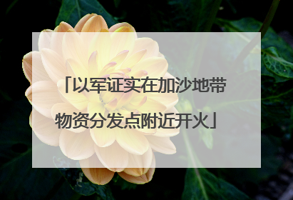 以军证实在加沙地带物资分发点附近开火