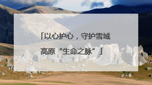 以心护心，守护雪域高原“生命之脉”