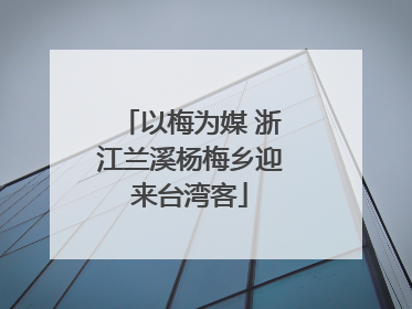 以梅为媒 浙江兰溪杨梅乡迎来台湾客