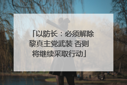 以防长：必须解除黎真主党武装 否则将继续采取行动