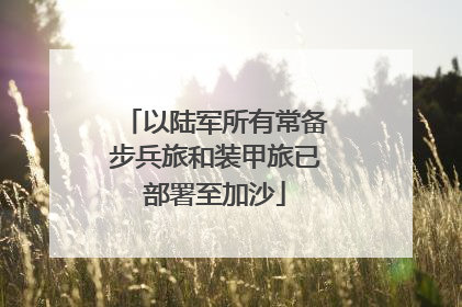 以陆军所有常备步兵旅和装甲旅已部署至加沙