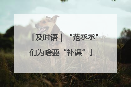 及时语｜“范丞丞”们为啥要“补课”