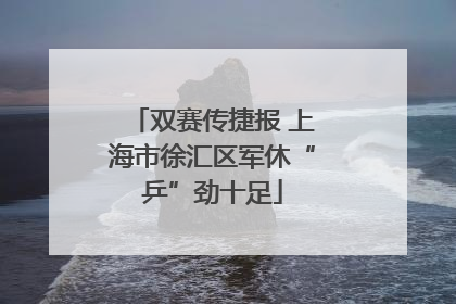 双赛传捷报 上海市徐汇区军休“乒”劲十足