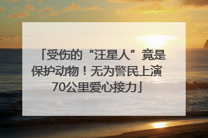 受伤的“汪星人”竟是保护动物！无为警民上演70公里爱心接力