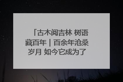 古木阅吉林 树语藏百年｜百余年沧桑岁月 如今它成为了“镇园之宝”