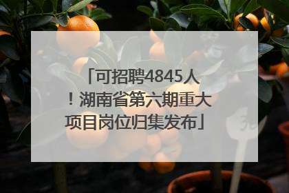 可招聘4845人！湖南省第六期重大项目岗位归集发布