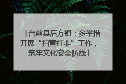 台前县后方镇：多举措开展“扫黄打非”工作，筑牢文化安全防线