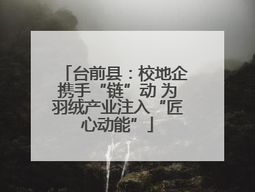 台前县：校地企携手“链”动 为羽绒产业注入“匠心动能”