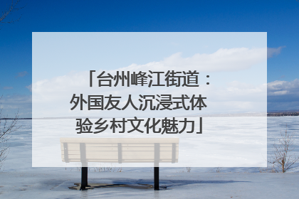 台州峰江街道：外国友人沉浸式体验乡村文化魅力
