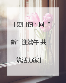 史口镇：同“新”迎端午 共筑活力家