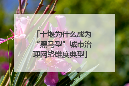 十堰为什么成为“黑马型”城市治理网络维度典型