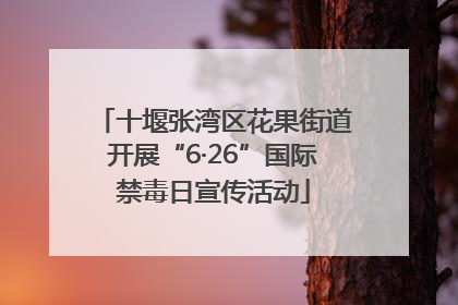 十堰张湾区花果街道开展“6·26”国际禁毒日宣传活动