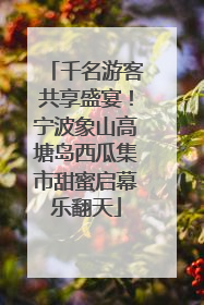 千名游客共享盛宴！宁波象山高塘岛西瓜集市甜蜜启幕乐翻天