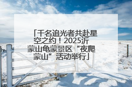 千名追光者共赴星空之约！2025沂蒙山龟蒙景区“夜爬蒙山”活动举行