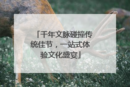 千年文脉碰撞传统佳节，一站式体验文化盛宴