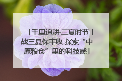 千里追耕·三夏时节丨战三夏保丰收 探索“中原粮仓”里的科技感