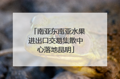 南亚东南亚水果进出口交易集散中心落地昆明