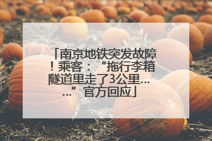 南京地铁突发故障！乘客：“拖行李箱隧道里走了3公里……”官方回应
