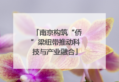 南京构筑“侨”梁纽带推动科技与产业融合