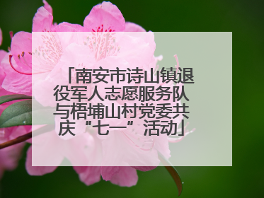 南安市诗山镇退役军人志愿服务队与梧埔山村党委共庆“七一”活动