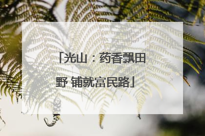 光山：药香飘田野 铺就富民路