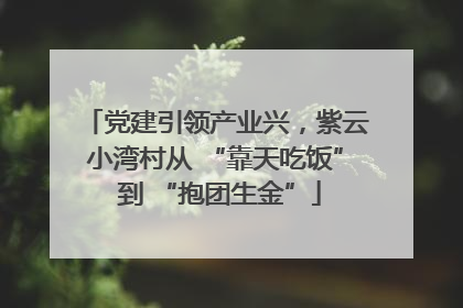 党建引领产业兴，紫云小湾村从 “靠天吃饭” 到 “抱团生金”