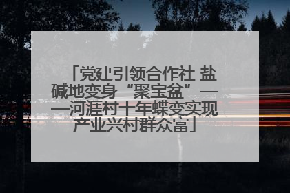 党建引领合作社 盐碱地变身“聚宝盆”——河涯村十年蝶变实现产业兴村群众富