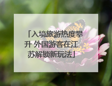 入境旅游热度攀升 外国游客在江苏解锁新玩法