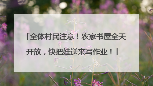 全体村民注意！农家书屋全天开放，快把娃送来写作业！